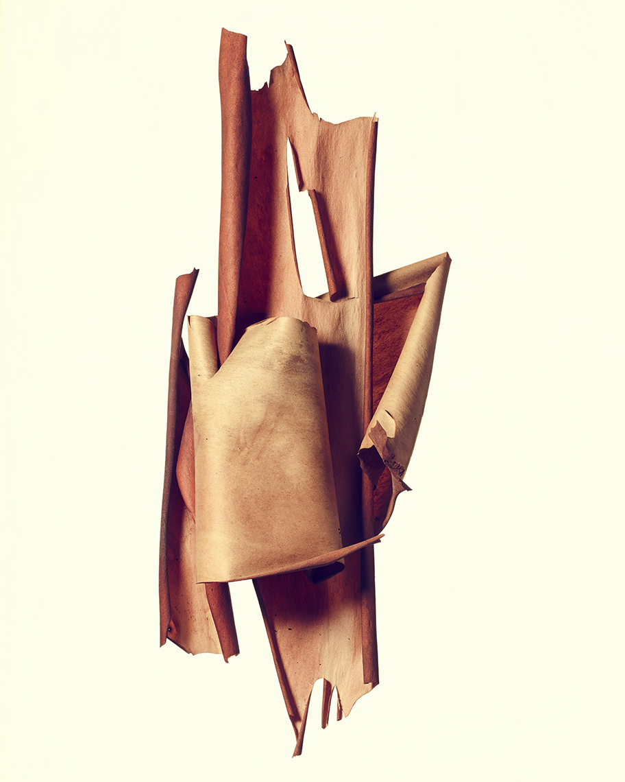 madrone_bark_19