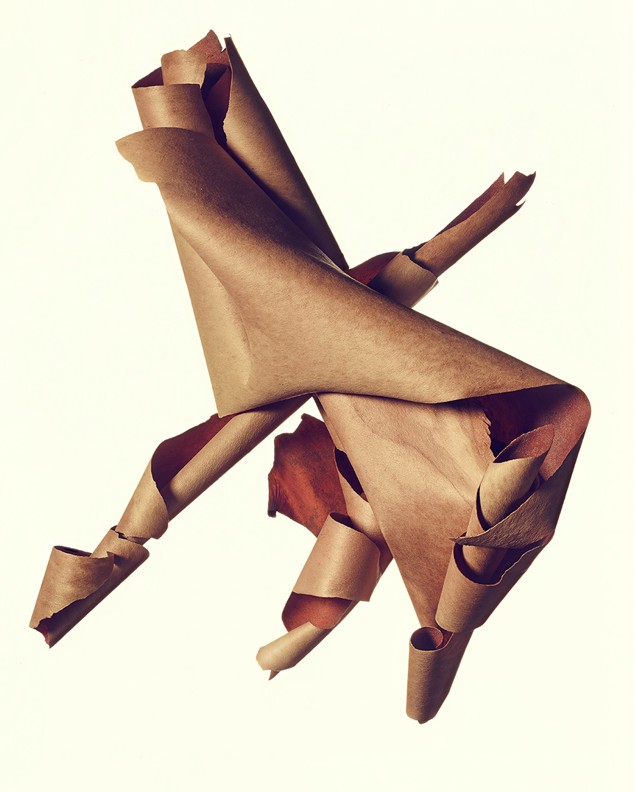 madrone_bark_7